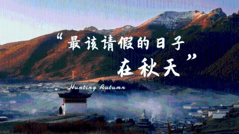 蓝色怪物救援