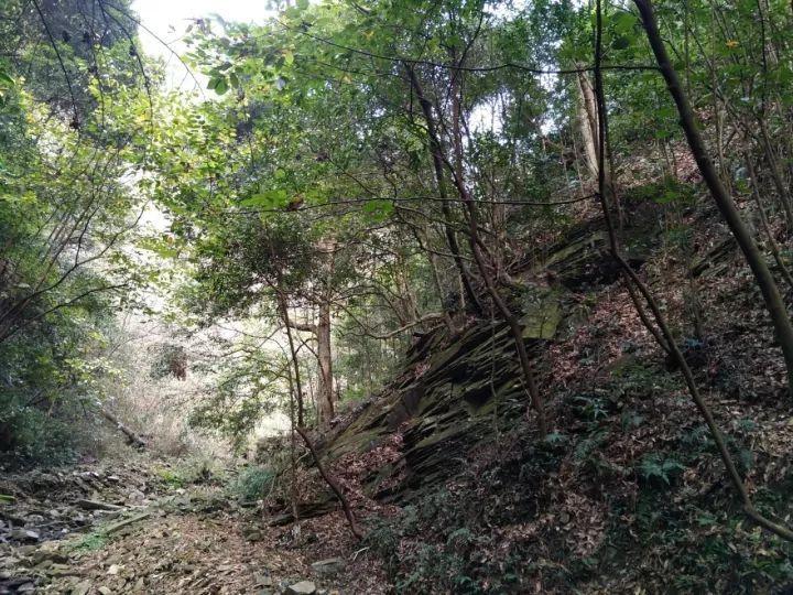 螺旋跳跃