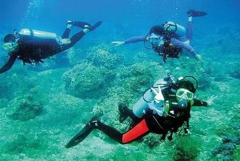 浙江挖掘能源大数据价值 助力企业年减排超14万吨标煤