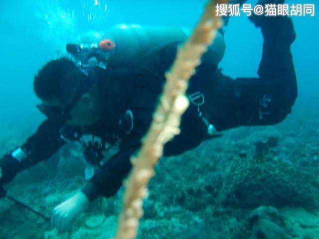 亚当玩高尔夫